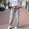 Goodies Jeans wide leg grijs