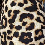 Licht beige/Tijger